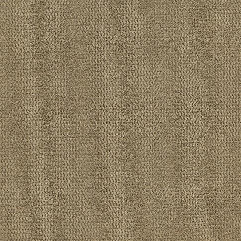 海马地毯 Dong-08 冬系列 50x50cm 金灰色系