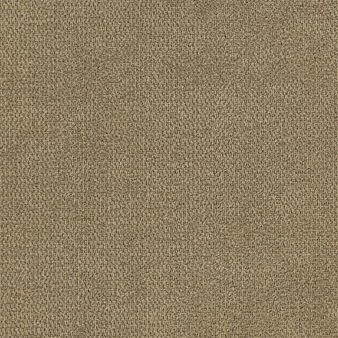 海马地毯 Dong-08 冬系列 50x50cm 金灰色系